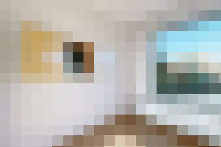 Kortenaerstraat 18 Dinteloord thumbnail 14