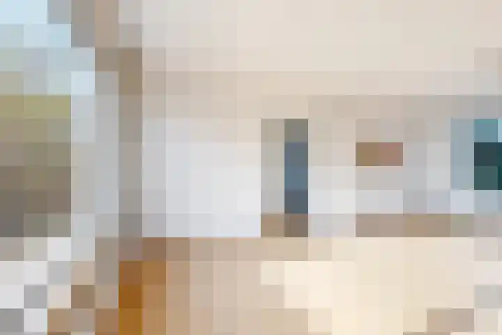 Kortenaerstraat 18 Dinteloord thumbnail 19