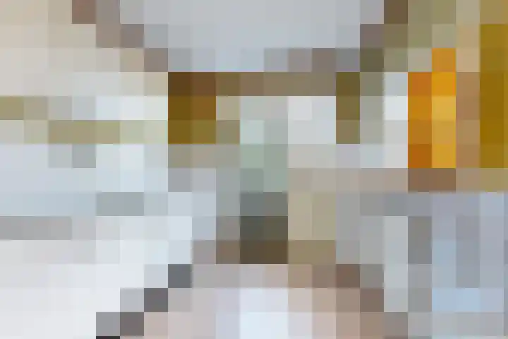 Kortenaerstraat 18 Dinteloord thumbnail 23