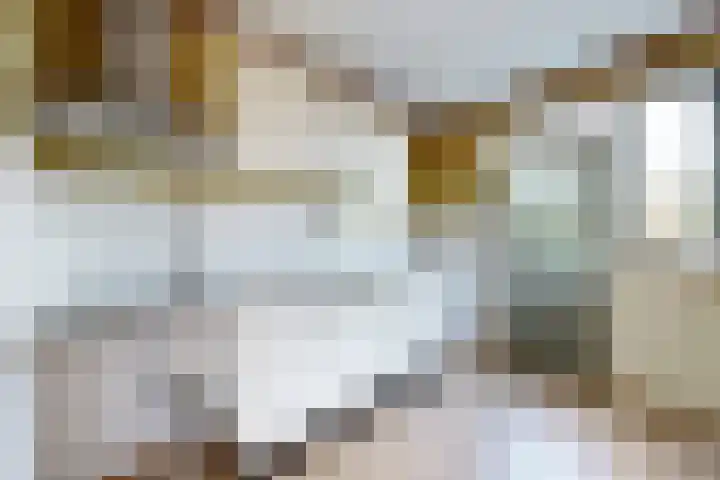Kortenaerstraat 18 Dinteloord thumbnail 25