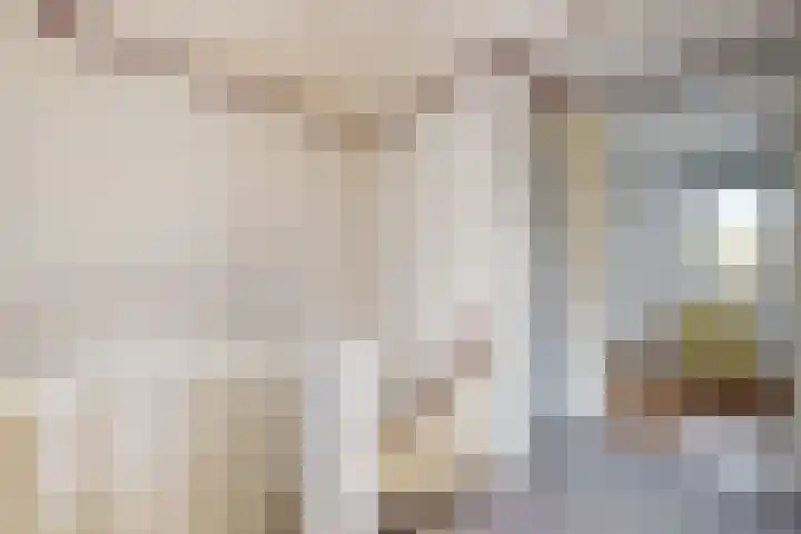Kortenaerstraat 18 Dinteloord thumbnail 29