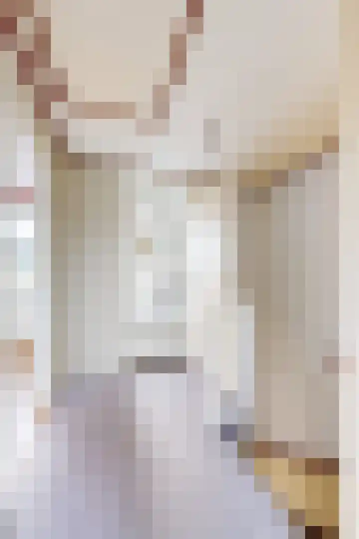 Kortenaerstraat 18 Dinteloord thumbnail 30