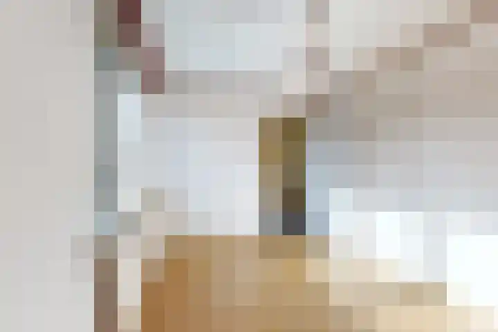 Kortenaerstraat 18 Dinteloord thumbnail 39