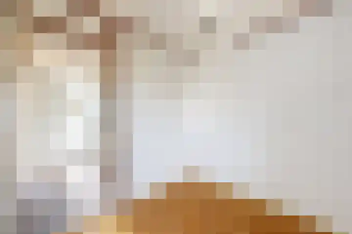 Kortenaerstraat 18 Dinteloord thumbnail 41