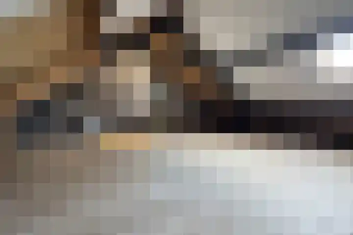 Kortenaerstraat 18 Dinteloord thumbnail 46