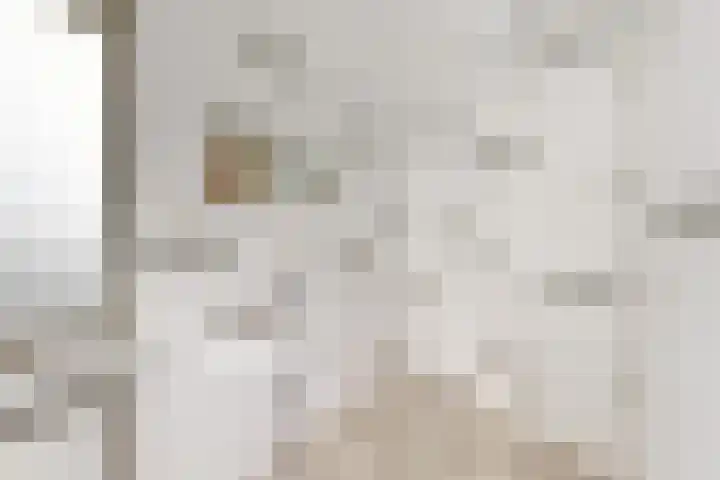Kortenaerstraat 18 Dinteloord thumbnail 5
