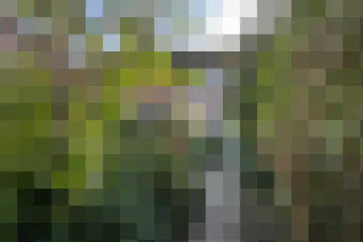 Kortenaerstraat 18 Dinteloord thumbnail 50