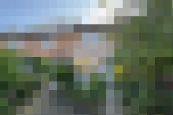 Kortenaerstraat 18 Dinteloord thumbnail 51