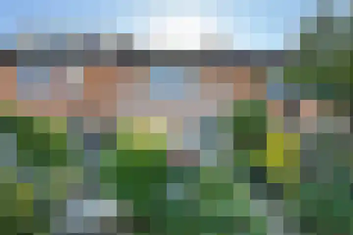 Kortenaerstraat 18 Dinteloord thumbnail 52
