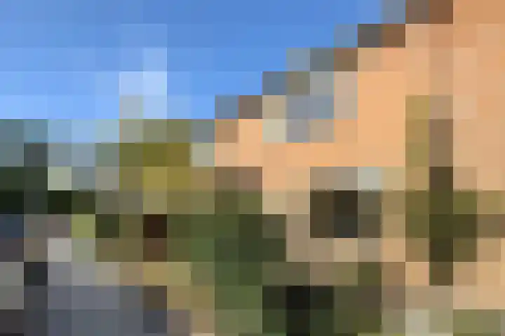 Kortenaerstraat 18 Dinteloord thumbnail 54