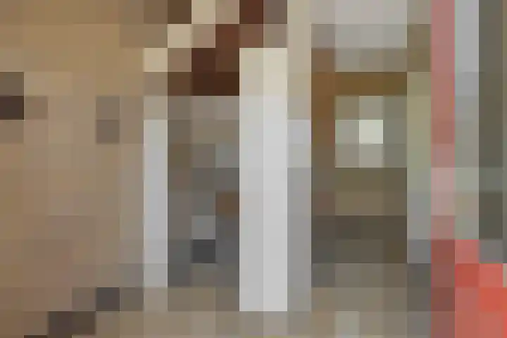 Kortenaerstraat 18 Helmond thumbnail 11