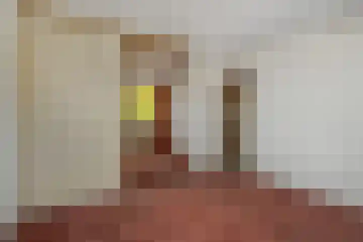 Kortenaerstraat 18 Helmond thumbnail 22