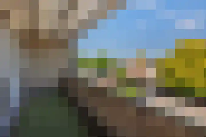 Kortenaerstraat 18 Helmond thumbnail 32