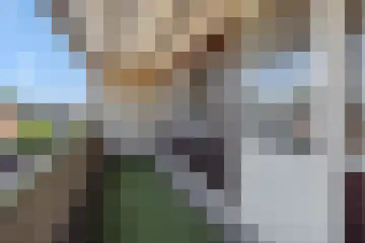 Kortenaerstraat 18 Helmond thumbnail 33