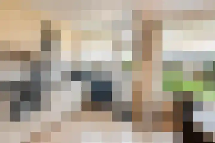 Kortenaerstraat 21 Dinteloord thumbnail 13