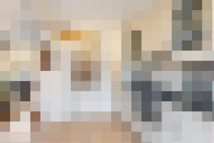 Kortenaerstraat 21 Dinteloord thumbnail 14