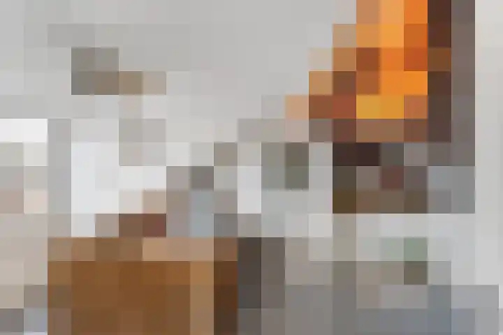 Kortenaerstraat 21 Dinteloord thumbnail 26