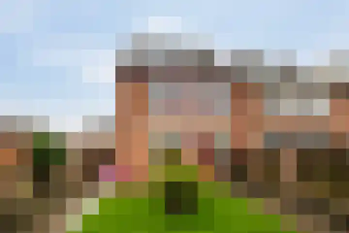 Kortenaerstraat 21 Dinteloord thumbnail 34