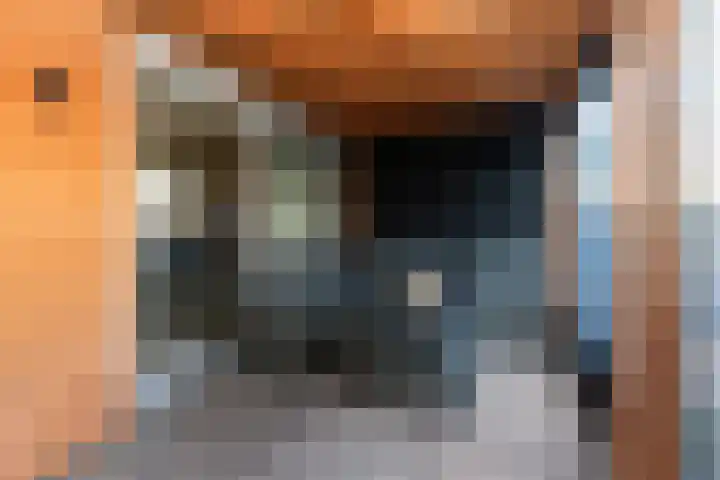 Kortenaerstraat 22 Dordrecht thumbnail 4