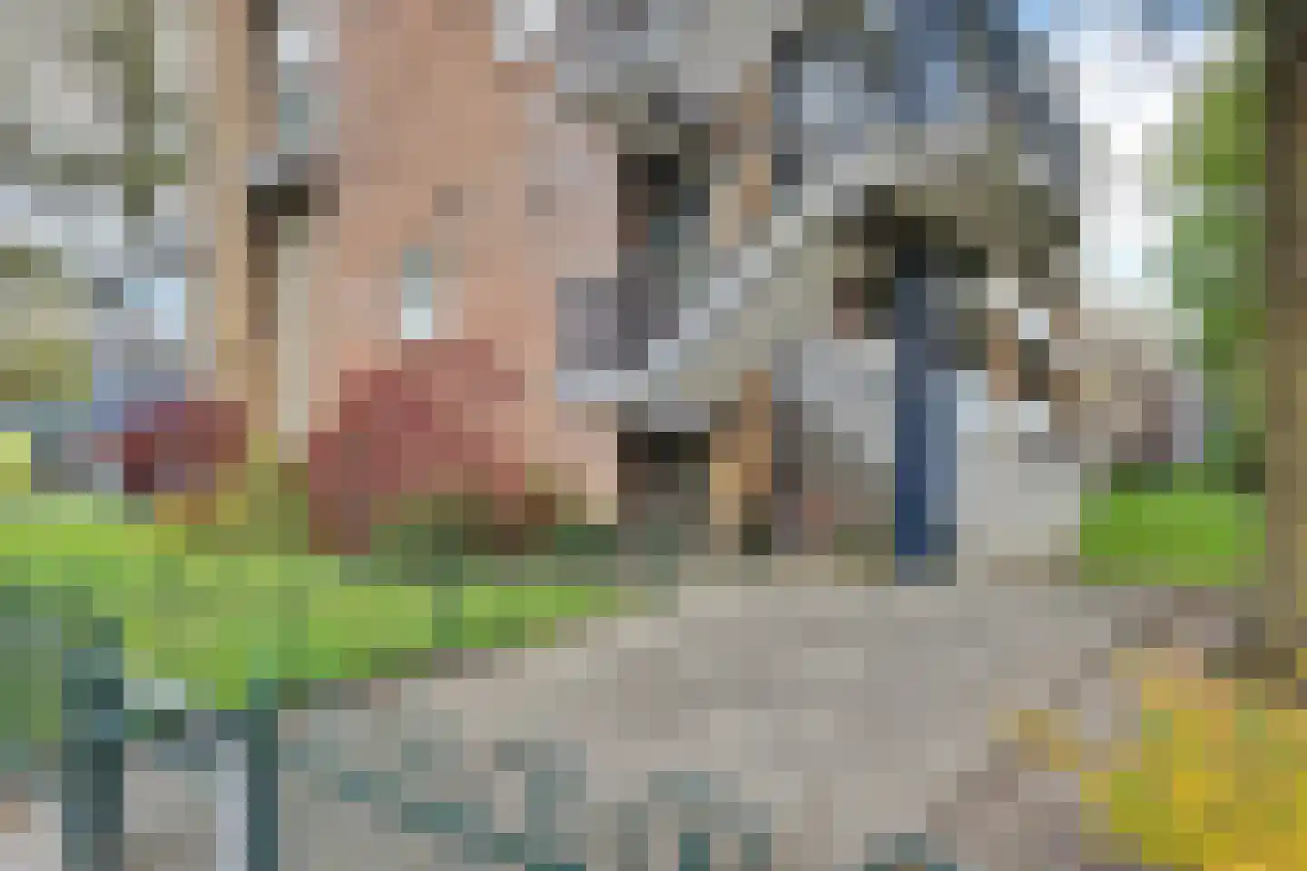 Kortenaerstraat 26 2 Enschede thumbnail 6