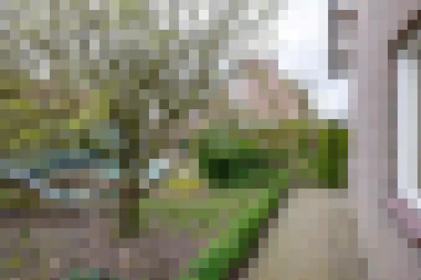 Kortenaerstraat 28 Schijndel thumbnail 30