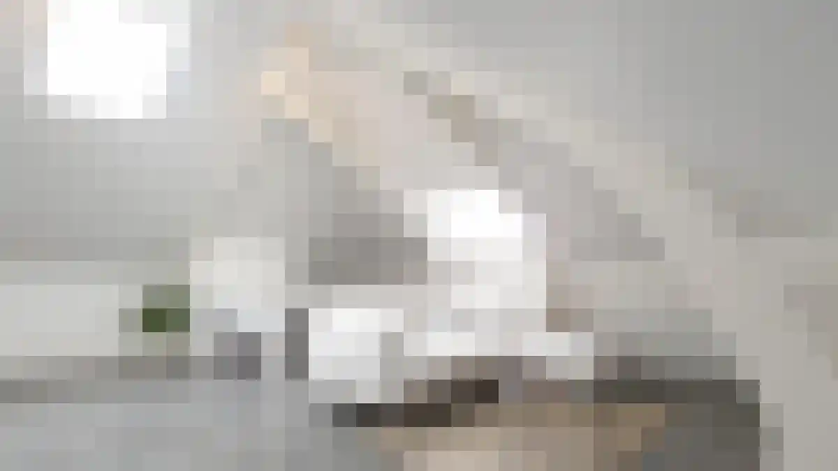 Kortenaerstraat 36 Rotterdam thumbnail 5