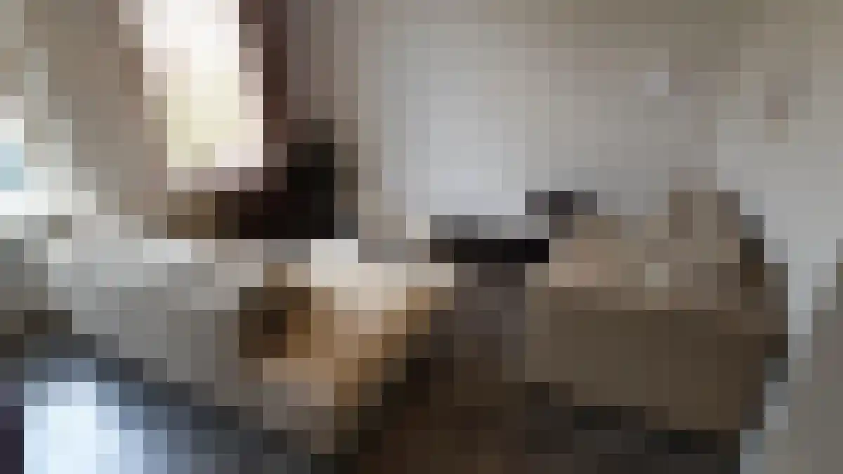 Kortenaerstraat 36 Rotterdam thumbnail 5