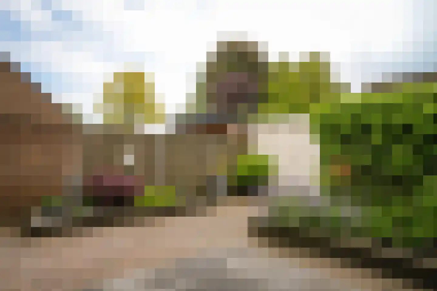 Kortenaerstraat 36 Schijndel thumbnail 36