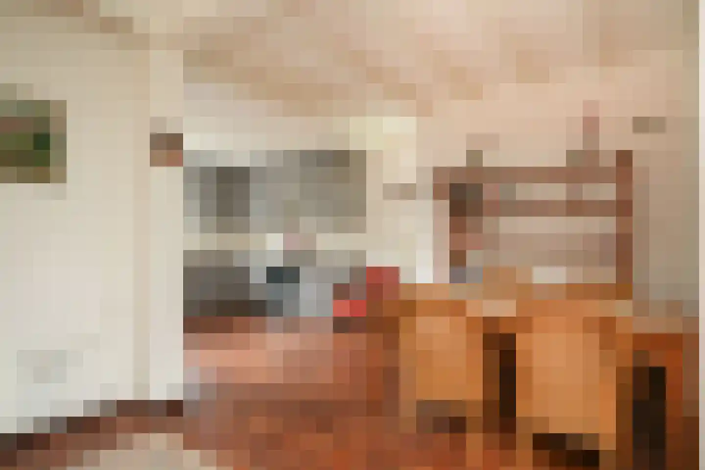 Kortenaerstraat 36 Schijndel thumbnail 4