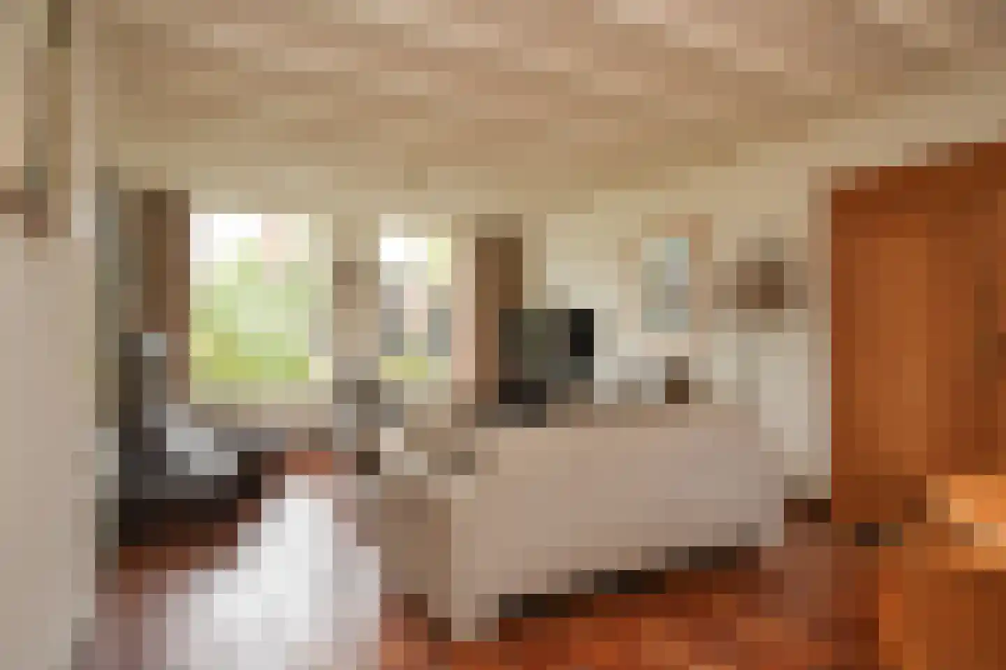 Kortenaerstraat 36 Schijndel thumbnail 5