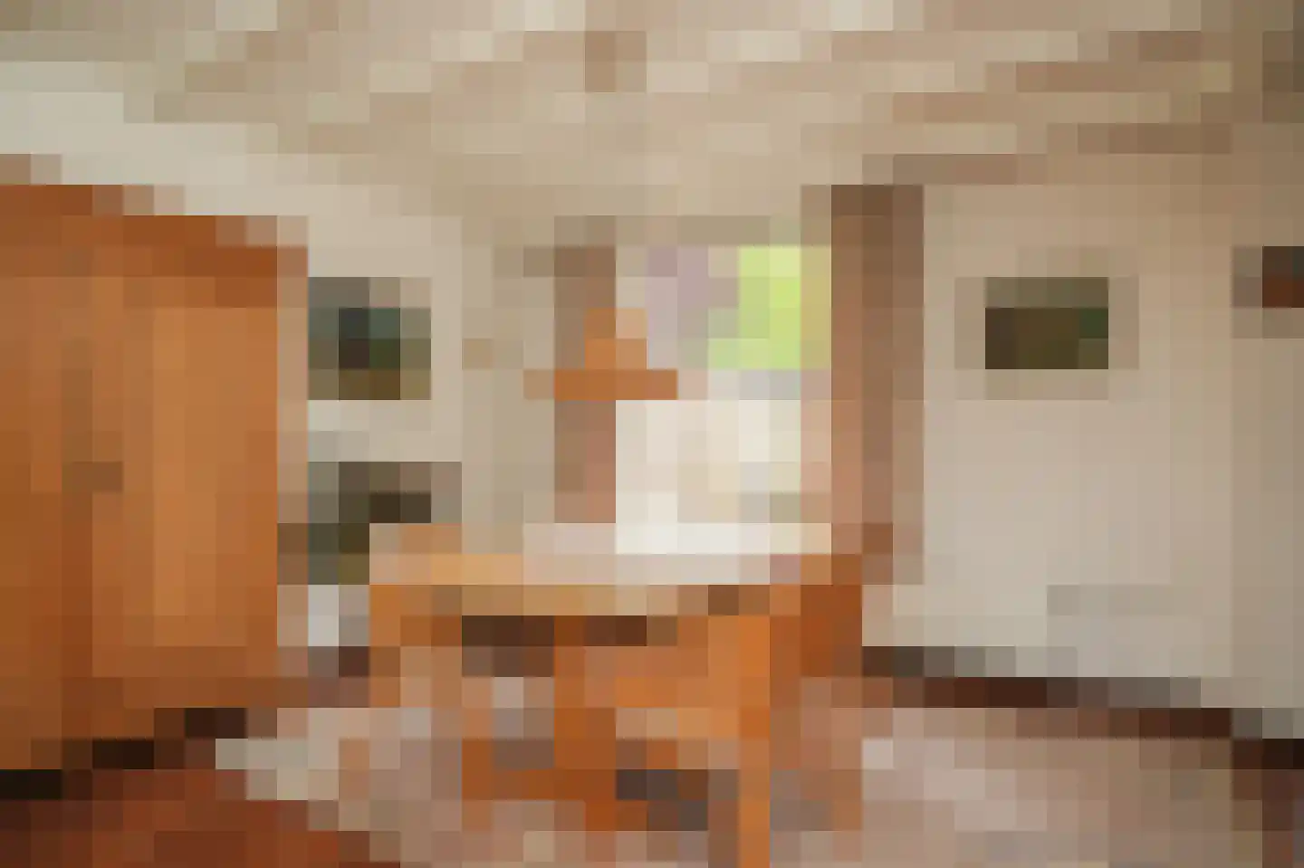 Kortenaerstraat 36 Schijndel thumbnail 7