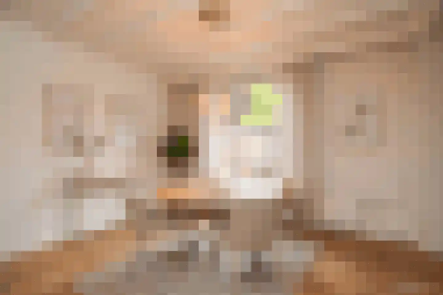 Kortenaerstraat 36 Schijndel thumbnail 8