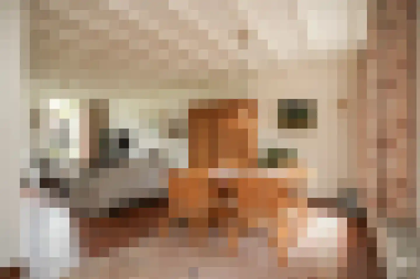 Kortenaerstraat 36 Schijndel thumbnail 9