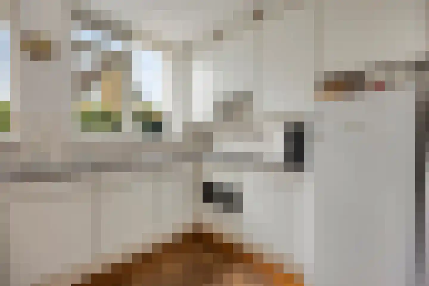 Kortenaerstraat 4 Hendrik-Ido-Ambacht thumbnail 11