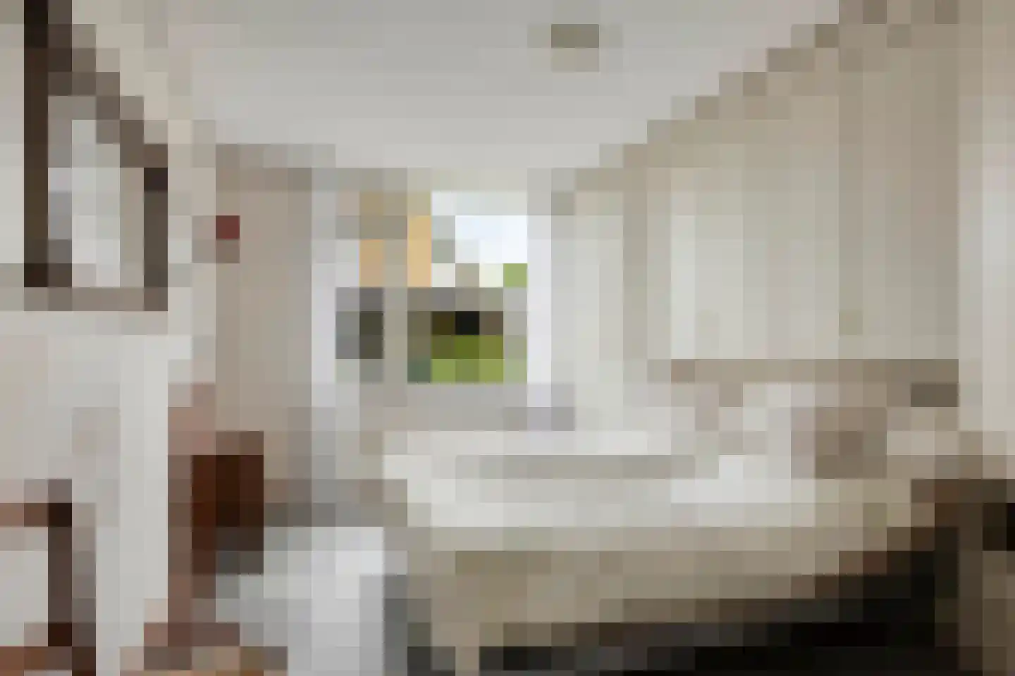 Kortenaerstraat 4 Hendrik-Ido-Ambacht thumbnail 15