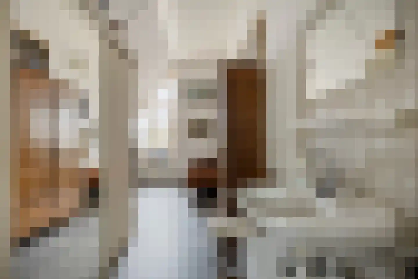 Kortenaerstraat 4 Hendrik-Ido-Ambacht thumbnail 22