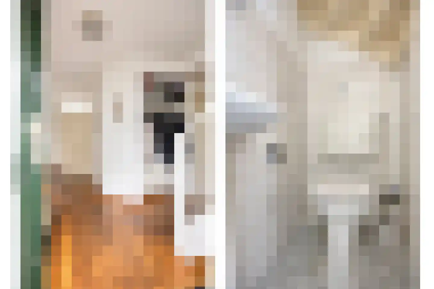 Kortenaerstraat 4 Hendrik-Ido-Ambacht thumbnail 6