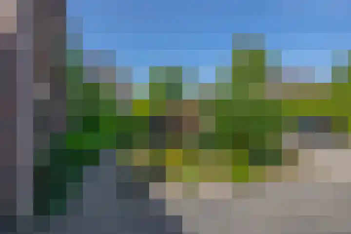 Kortenaerstraat 44 Schijndel thumbnail 34