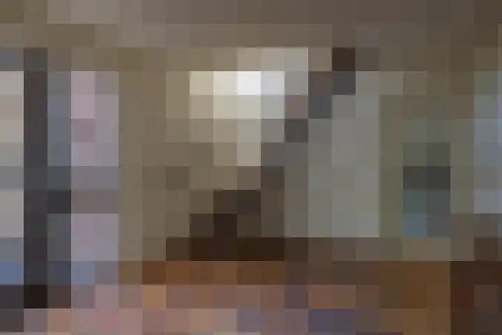 Kortenaerstraat 44 Schijndel thumbnail 4