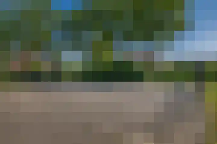 Kortenaerstraat 44 Schijndel thumbnail 40