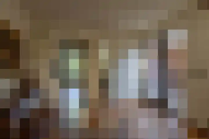 Kortenaerstraat 44 Schijndel thumbnail 5