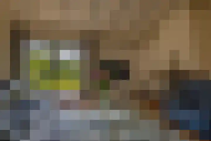 Kortenaerstraat 44 Schijndel thumbnail 7