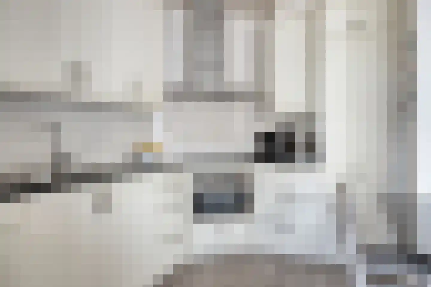 Kortenaerstraat 49 Maasdijk thumbnail 14