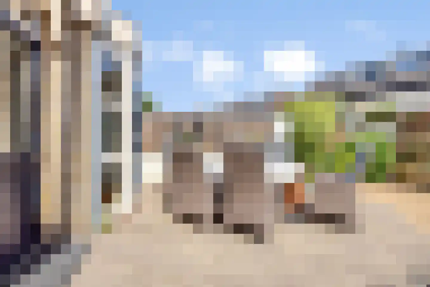 Kortenaerstraat 49 Maasdijk thumbnail 15