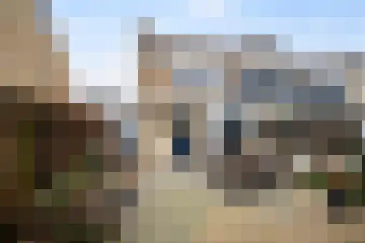 Kortenaerstraat 49 Maasdijk thumbnail 16