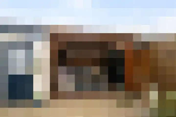 Kortenaerstraat 49 Maasdijk thumbnail 17