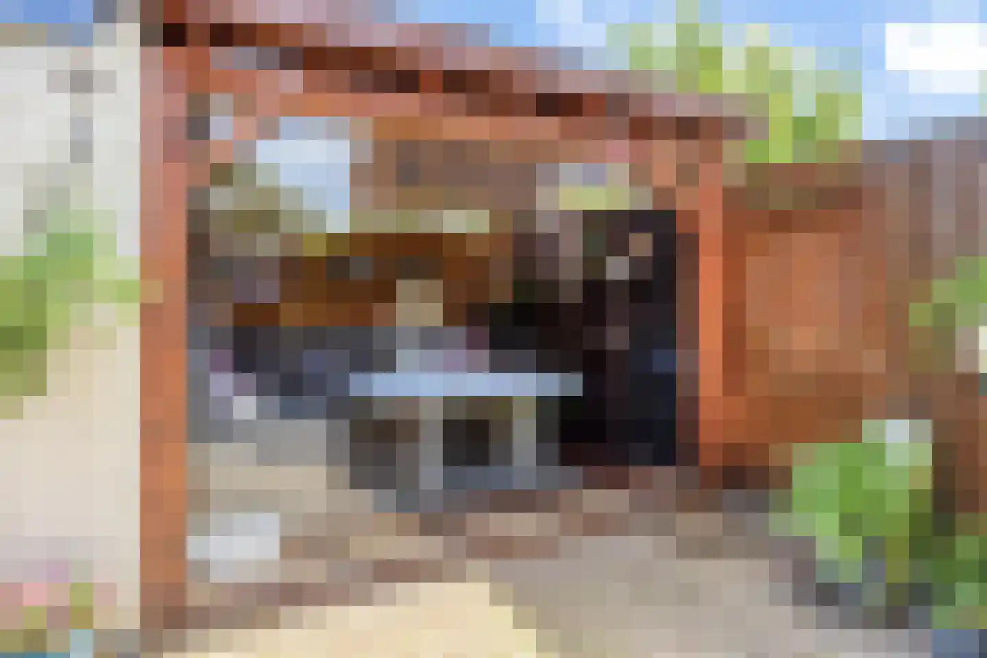 Kortenaerstraat 49 Maasdijk thumbnail 17