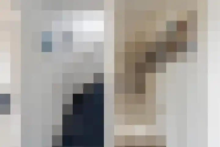 Kortenaerstraat 49 Maasdijk thumbnail 20