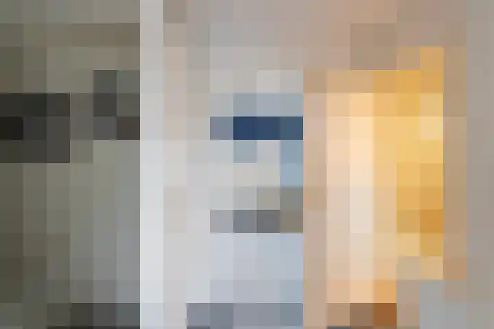 Kortenaerstraat 49 Maasdijk thumbnail 21