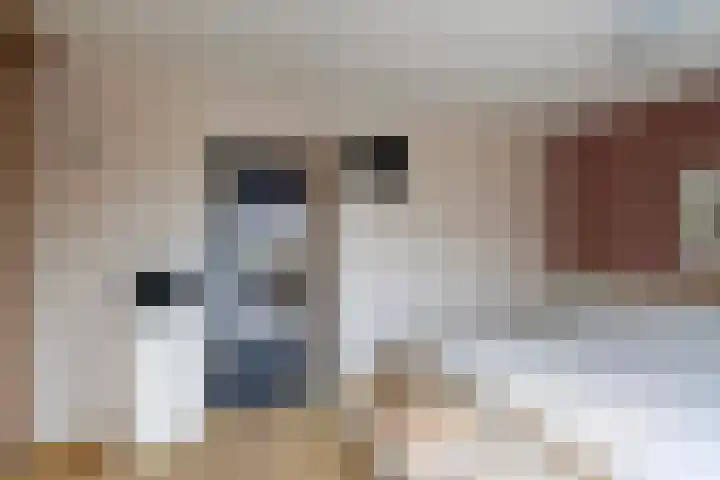 Kortenaerstraat 49 Maasdijk thumbnail 28